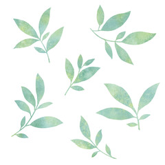 set of watercolor leaves. graceful leaves for design, postcards, invitations, prints. Delicate branches illustration