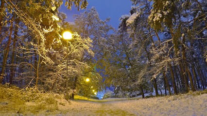 Leśna droga przysypana śniegiem wieczorną porą