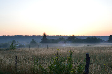 Misty morning in the village near the forest before dawn in summer