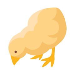 Isometric Chicken Illustration