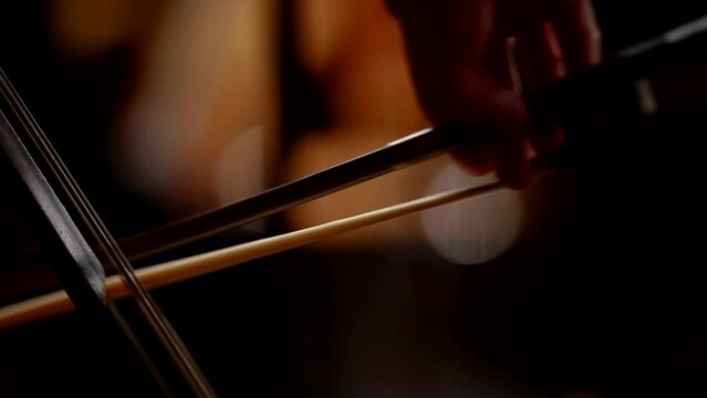 Musician hands on a classical double bass close-up. Action at work as a musician. Wooden string equipment for an art show