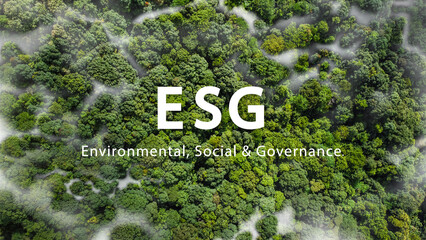 ESG Sustainable Environmental Conservation Concept for the environment, society and governance Global sustainable environment concept, sustainable ESG technology. Renewable resources. carbon emissions