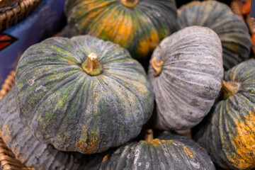 Bunch of pumpkin, Lots of orange pumpkin placed on a black shelves in supermarket. in the food zone from agricultural produce in the department store