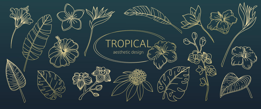 Golden leaves and flowers from tropics line icons set vector illustration. Hand drawn outline gold aesthetic collection with tropical palm leaf with striped texture and luxury blossom of tropics