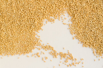 Wheat grains designed on white surface with copy space