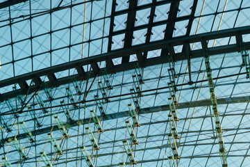 Fensterfassade eines Hochhauses mit vielen Details und blauen Himmel