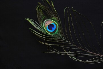 peacock feather on a black background © Yogesh Gavali