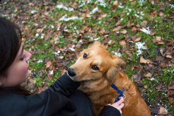 woman hugging dog in winter park