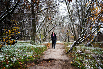 person walking with dog in winter park with snow