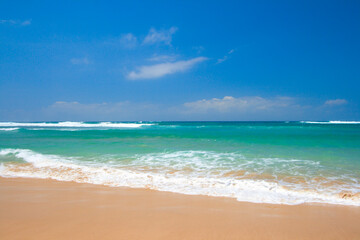 Fototapeta na wymiar Beautiful ocean beach in summer. Caribbean Sea, Riviera Maya, Mexico
