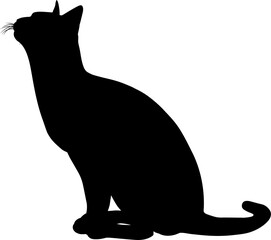 Silhouette Cat Pet Animal