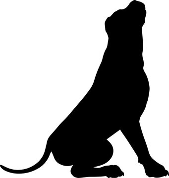 recommend clip art: Dog Silhouette Pet Animal
