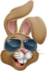 Fototapeta na wymiar Cool Easter Bunny Rabbit in Shades Cartoon