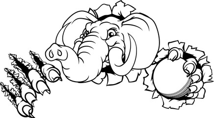 Elephant Cricket Ball Sports Animal Mascot