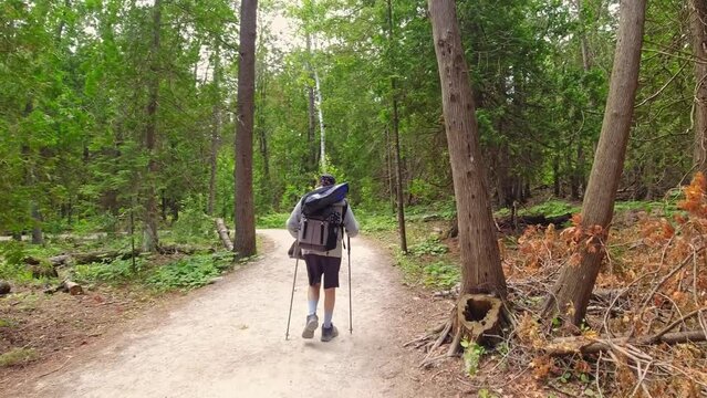 Hiker with backpack and photo gear walking at hiking trail in fir tree green summer forest at sunny day. Bruce Peninsula National Park, Ontario, Canada.