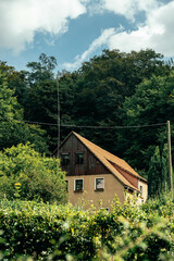 Obraz premium house in the woods