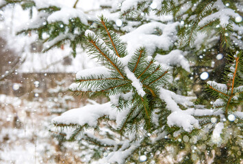 Closeup of Christmas tree with sparkling light, snowflake. Christmas and New Year holiday background.	
