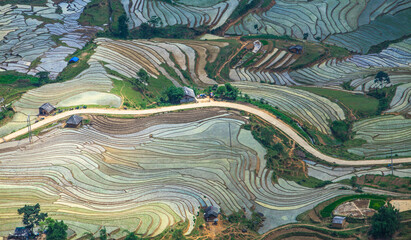 Terraced fields to prepare water for rice cultivation in Vietnam