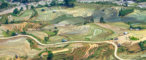 Terraced fields to prepare water for rice cultivation in Vietnam