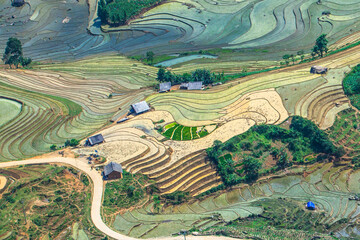 Terraced fields to prepare water for rice cultivation in Vietnam