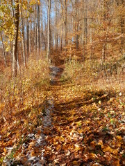 Der erste Schnee im Südharz