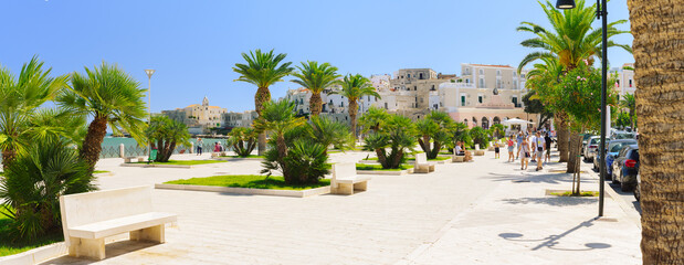 Vieste, Italy. View of the square at the promenade of Viale Marinai D'Italia in the town center. You can see palm trees and people walking by. September 5, 2022. - obrazy, fototapety, plakaty