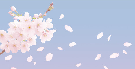 桜 イラスト リアル 背景