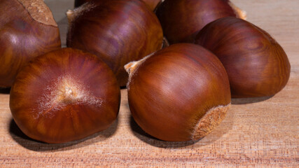 Fresh chesnuts from the tree