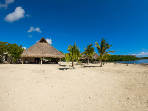 palapa restaurant with palm trees