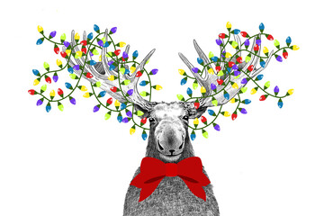 Funny Christmas moose with Christmas tree lights tangled in antlers, holiday party animal drawing for invitations or card, hand drawn sketch of moose