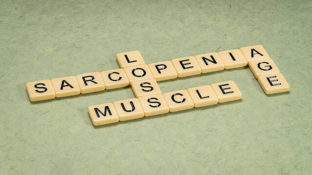 sarcopenia - muscle loss due to aging, crossword in ivory tile, health and lifestyle concept