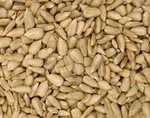 Sunflower Seeds for Culinary Use
