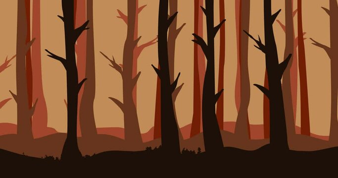 High and many dry trees forest background animation