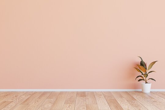 Empty pink Interior room with blank pinkish cream wall, wooden floor with green plant. Studio background wall to display product.Design ideas and style concept. 3d illustration