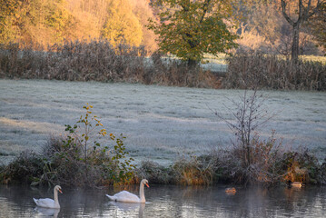 Spätherbst am Wasserschloß im Münsterland