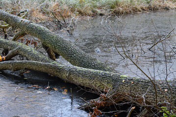 Spätherbst am Wasserschloß im Münsterland