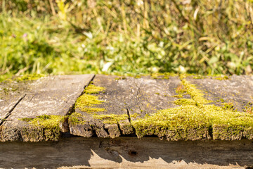 Outdoor table in the garden or backyard, close-up