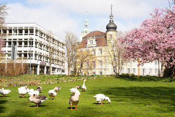 Schlossgarten Oldenburg