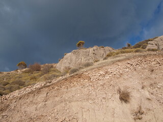 Ayvalık Sarımsaklı