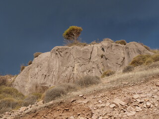 Ayvalık Sarımsaklı