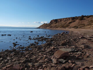 ayvalık sarımsaklı
