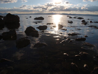ayvalık sarımsaklı