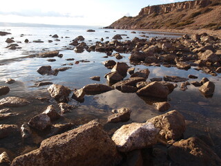 ayvalık sarımsaklı