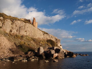 ayvalık sarımsaklı