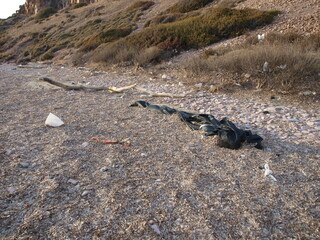 Ayvalık Sarımsaklı Badavut Manzara