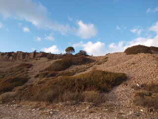 Ayvalık Sarımsaklı Badavut Manzara