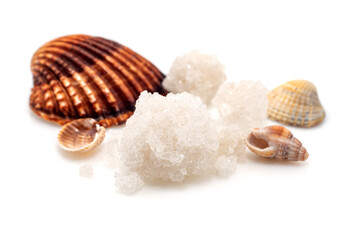 Sea salt with shells on a white background close-up. salt isolate