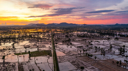 Beauty rice terrace with Sugar palms on sunset