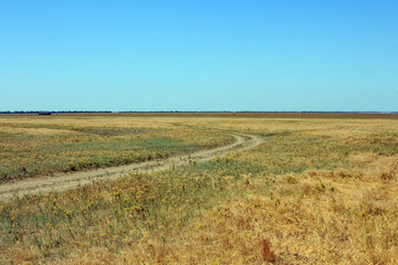 A view of the Ukrainian steppe on the territory of the national nature reserve "Askania Nova". Kherson region, Ukraine