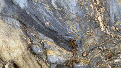 Beach Rock Strata at Castle Beach in Falmouth, Cornwall, UK